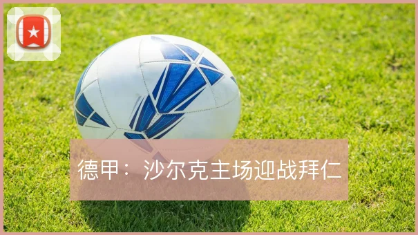德甲:沙尔克主场迎战拜仁