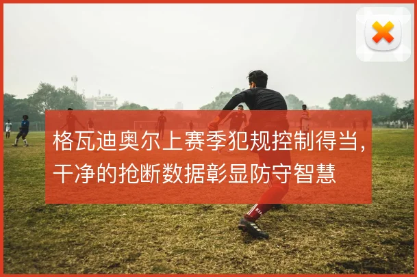 格瓦迪奥尔上赛季犯规控制得当,干净的抢断数据彰显防守智慧